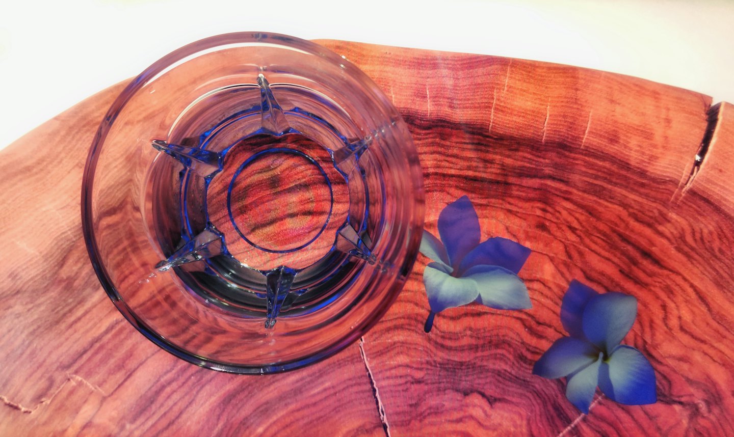 Deux fleurs artificielles bleues reposent dans un bol en verre.